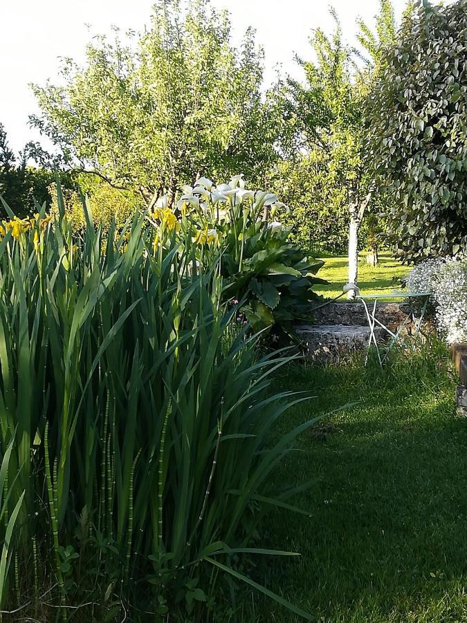 La Cle Du Puy Bed & Breakfast Cabariot ภายนอก รูปภาพ